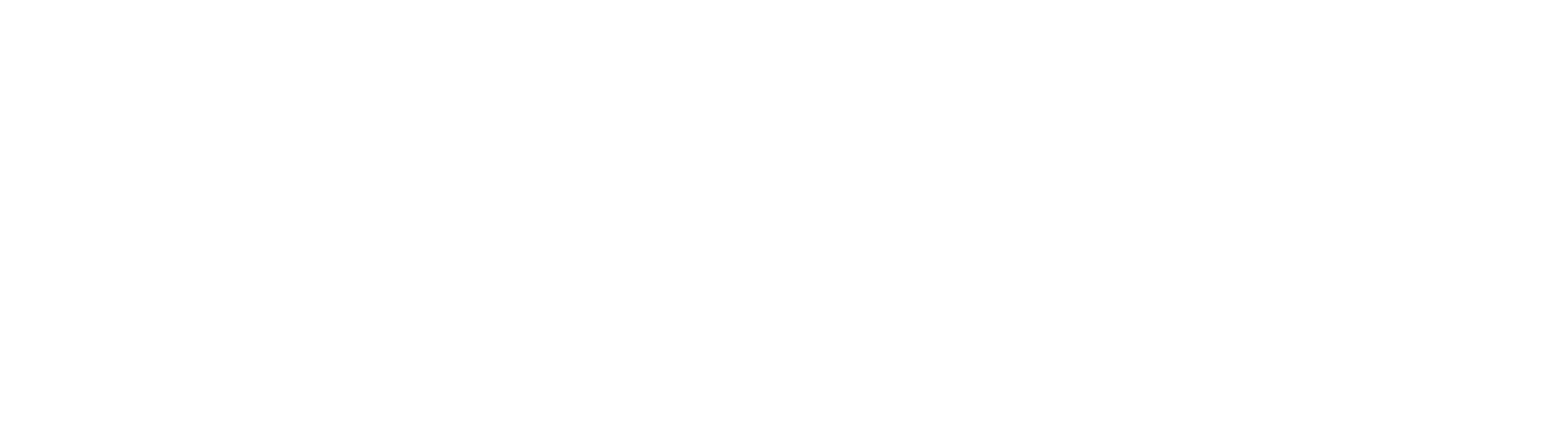 logo blanc LP